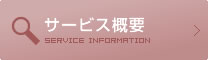 サービス概要